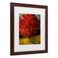 thumbnail image 2 of Trademark Fine Art 'Autumn Red' Canvas Art by Philippe Sainte-Laudy, 2 of 4