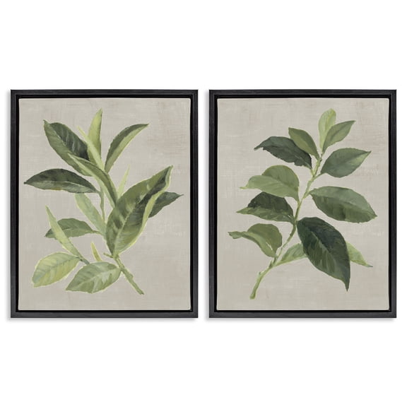 Stupell Industries Green Tea & Coffee Plant Leaves Floral Painting Black Floater Framed Canvas Art Print Wall Art, 17 x 21, Set of 2