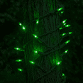 thumbnail image 4 of Novelty Lights RetroGlo® LED Mini Lights, 50 Ceramic Green Bulbs on Green Wire, 11ft with 2.5" Spacing, Incandescent Style Glow, 2700K Warm White Core, 4 of 5