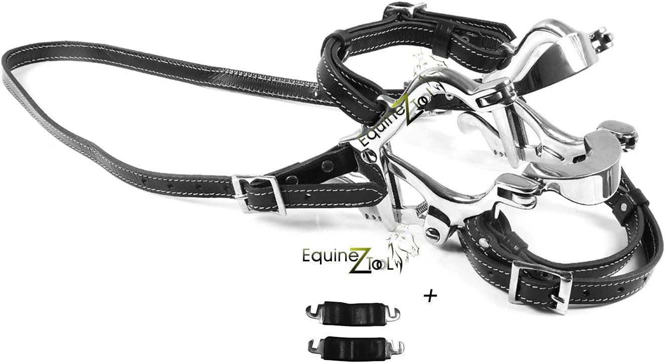 GSF 650 S BANDIT Homologué Exhaust Echappement OVAL 2005 - 2006 DOMINATOR système d'échappement GSF 650 S BANDIT Homologué Exhaust Echappement OVAL 2005 - 2006 DOMINATOR système d'échappement