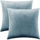 thumbnail image 1 of Dinheiro Fundas de almohada lumbar decorativas pequeñas, fundas de cojín de terciopelo, fundas de almohada para sofá de 12.0 x 20.0 in, juego de 2, 1 of 6