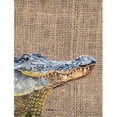 thumbnail image 1 of Carolines Treasures 8733GF Drapeau Alligator - Taille du Jardin&44; 11 x 15 Po., 1 of 3