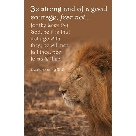 B&H Publishing 381473 Be Strong & of Good Courage Fear Not Deuteronomy 316 KJV Bulletin - Pack of 100