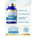 Fast Acting Lactase Enzyme Pills 9000 FCC 180 Tablets Dairy