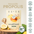 thumbnail image 2 of Beekeeper's Naturals Soothing Honey Ginger Lemon Cough Drops - Immune Support with Vitamin D, Zinc and Propolis Throat Soothing Lozenges, 14 Ct, 2 of 10