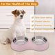 thumbnail image 4 of Cuenco para perros, cuenco doble, cuencos elevados para agua y comida de acero inoxidable, cuencos para comedero para mascotas, 4 of 8