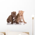 thumbnail image 1 of Two American Pit Bull Wall Mural by Wallmonkeys Peel and Stick Graphic (18 in W x 12 in H) WM309967, 1 of 4