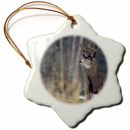 3dRose Mule deer, winter near Bigfork Montana - US27 CHA1374 - Chuck Haney - Snowflake Ornament,