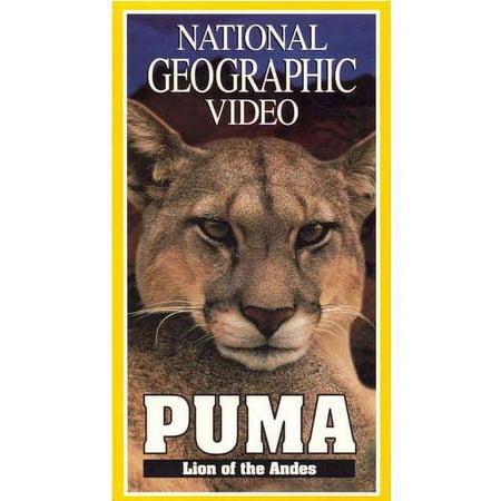 National Geographic Video - Puma: Lion of the Andes (VHS, 1996)