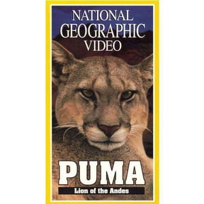 National Geographic Video - Puma: Lion of the Andes (VHS, 1996)