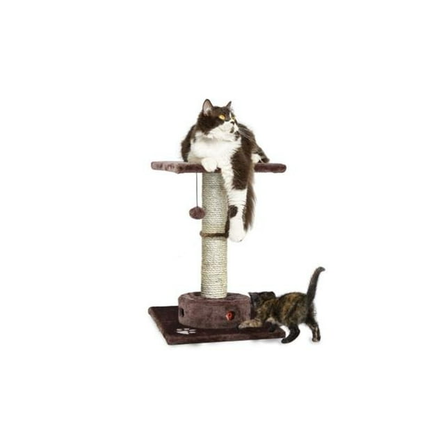 Terrain de Jeu de Chat Griffant le Poteau avec la Boîte Occupée de Chat-Iq
