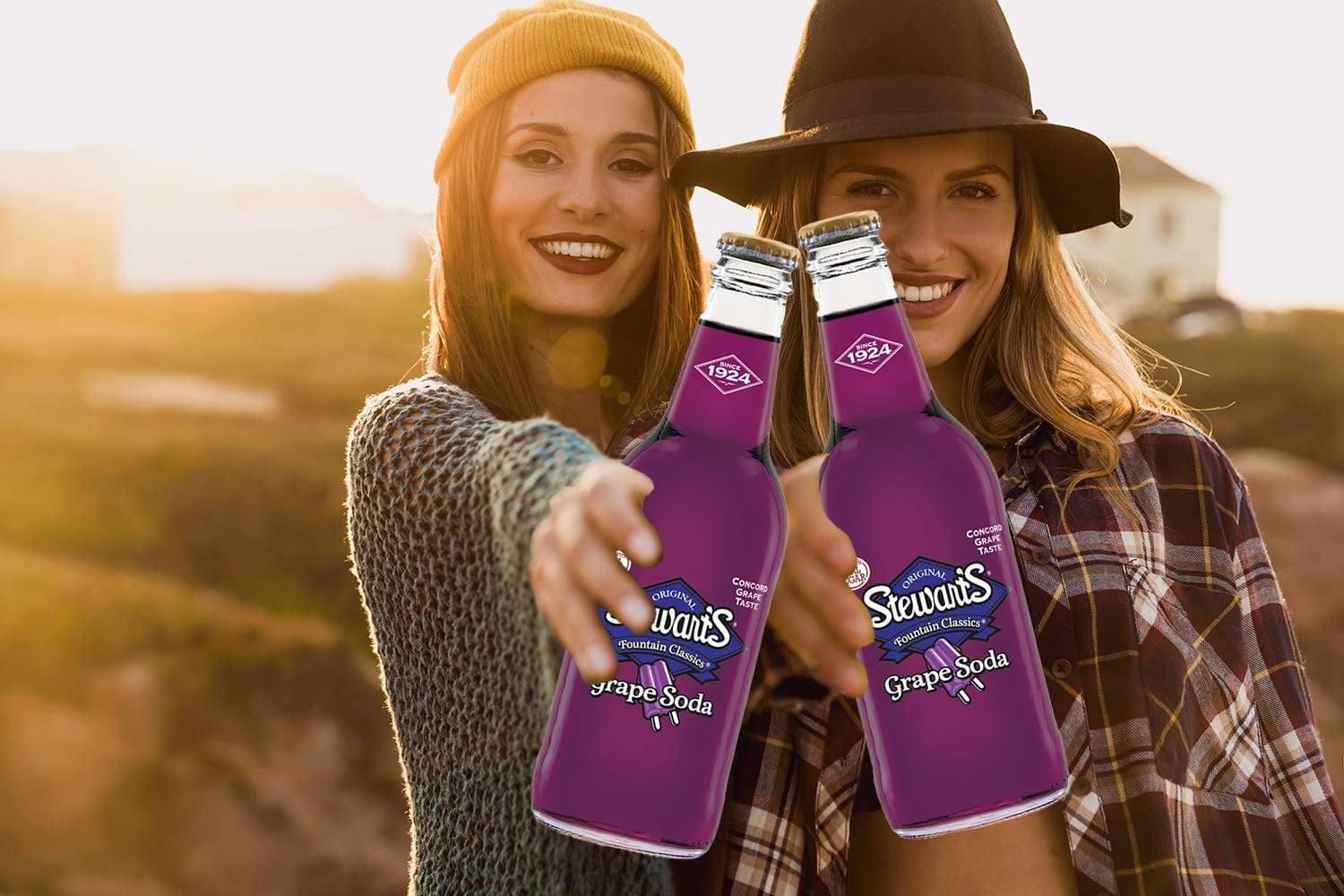 Stewart's Grape Soda, 12 fl oz (12 Glass Bottles), All Natural Family Pack