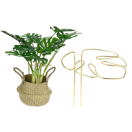 Uxcell 1-Pack Monstera Plant Support 11x5.9" Sturdy Plant Support Stakes for Potted Plants,Gold