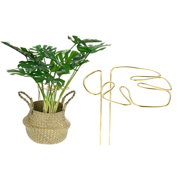 Uxcell 1-Pack Monstera Plant Support 11x5.9" Sturdy Plant Support Stakes for Potted Plants,Gold