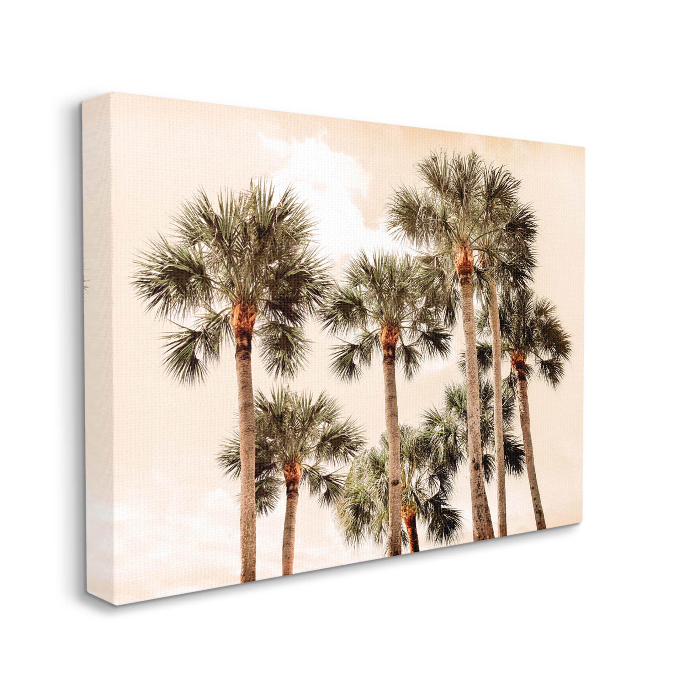 Summer Palm Trees Sky Landscape Photograph Gallery Wrapped Canvas Print Wall Art
