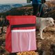 thumbnail image 3 of Bolsa para golosinas para mascotas, bolsa de entrenamiento para perros con Clip para cinturón, lleva juguetes para mascotas, golosinas deportivas para , ROJO Sunnimix Bolsa de golosinas para perros, 3 of 8