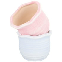 HEALEEP  2 Pcs Ceramic Flowerpot Beautiful Plant Portable Planter