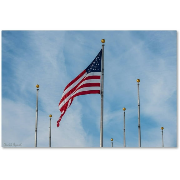 Trademark Fine Art "Red, White and Blue" Canvas Art by David Ayash