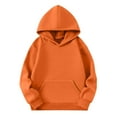 thumbnail image 3 of Cowsor Girls Casual Long Sleeve Hoodies Cute Oversized Fleece Pocket Sweatshirt Tops, 3 of 5