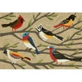 thumbnail image 1 of Liora Manne FTP46144044 Frontporch 1440-44 Birds Multi 42 x 66 In. Area Rugs, 1 of 1