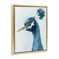 thumbnail image 3 of Stupell Industries Vivid Plumage Peacock Gold Framed Floater Canvas Wall Art, design by Hannah Dawson, 21 x 17, 3 of 9