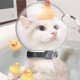 thumbnail image 3 of Funda ajustable para gatos, boca transpirable para evitar que el gato muerda y mastique., 3 of 5
