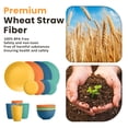 thumbnail image 6 of Homienly Dish Set Wheat Straw Dinnerware Sets Unbreakable Reusable Dinnerware Set 16 PCS Cups Plates and Bowls Sets, Microwave and Dishwasher Safe Dishes for Camping, Outdoor - Colorful, 6 of 8