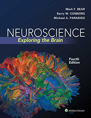 Pre-Owned Neuroscience: Exploring the Brain, Fourth Edition by Mark F. Bear, Barry W. Connors, Michael A. Paradiso (2015) Hardcover, 9780781778176, 0781778174, Hardcover, 4th edition