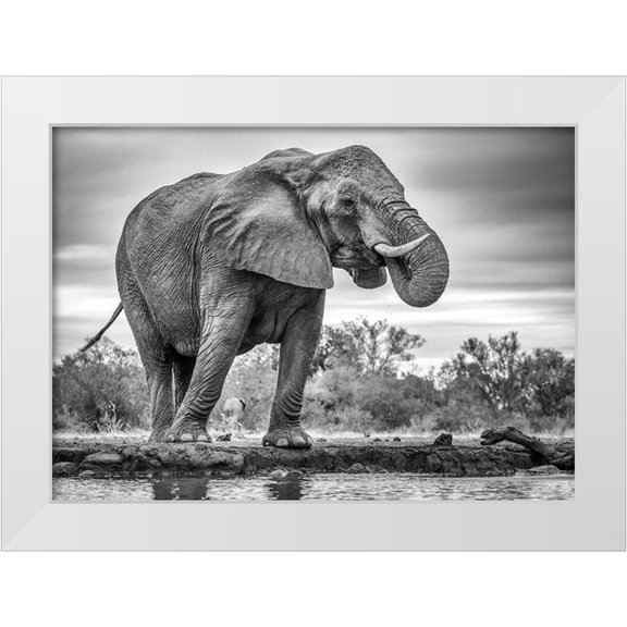 Marx, Jaco 32x24 White Modern Wood Framed Museum Art Print Titled - Standing Proud