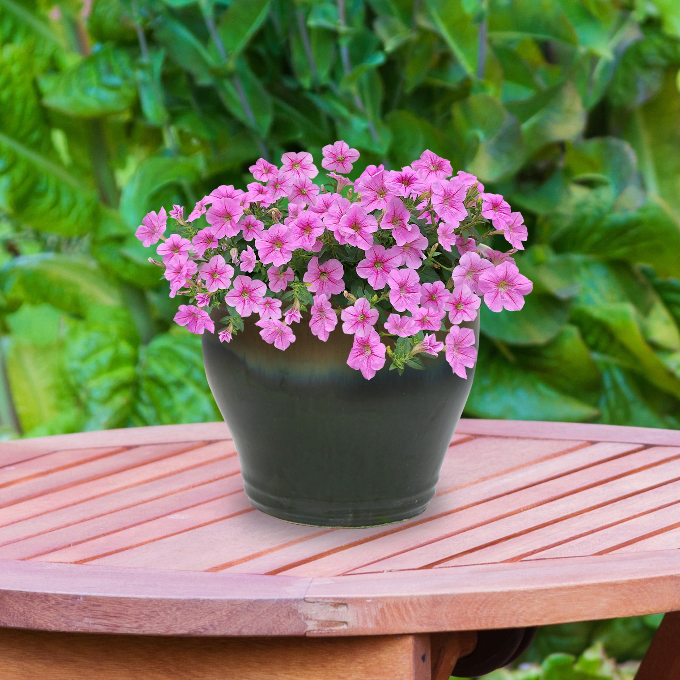 Sunnydaze Studio 15" x 15" x 12.5" Round Forest Lake Green Ceramic Outdoor Planter