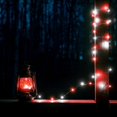 thumbnail image 2 of Luces navideñas BOSSERN Fairy 60 LED que funcionan con pilas, 2 of 5