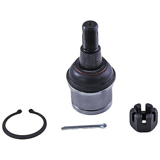 Dorman OE Solutions Trailing Arm Bushing 523073 | O'Reilly Auto Parts