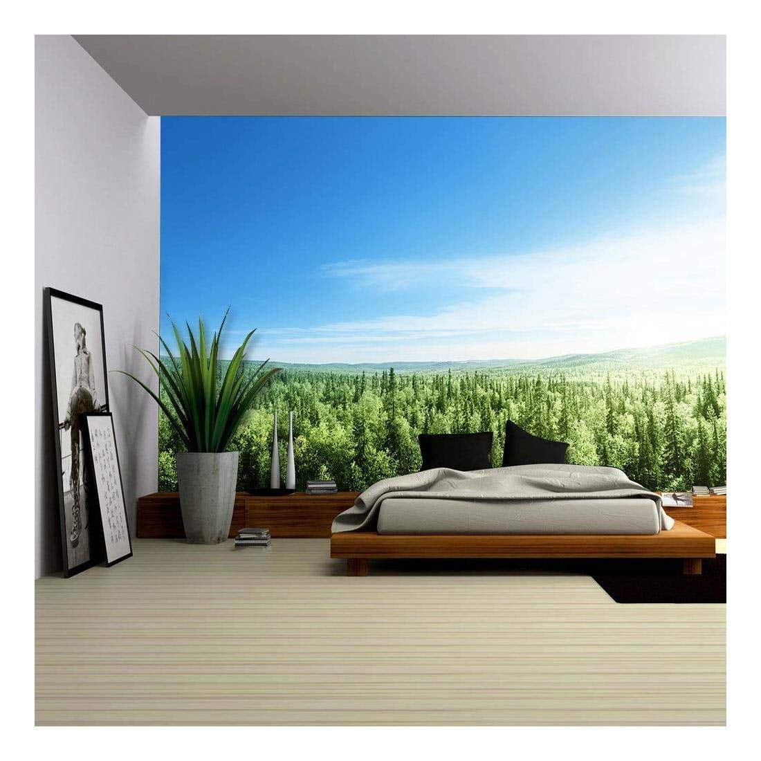 removable wall murals