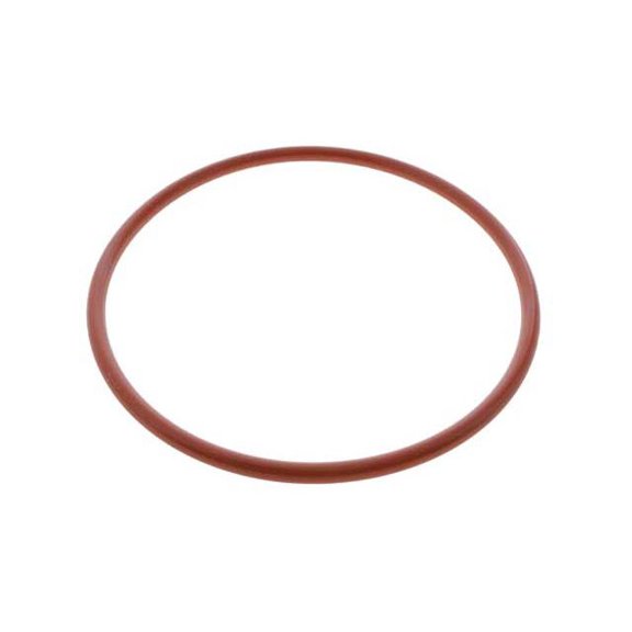 Fuel Pump O-Ring - Compatible with 2010 - 2016, 2020 - 2023 Mercedes-Benz E350 2011 2012 2013 2014 2015 2021 2022