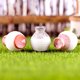 thumbnail image 4 of High Hot Sale Home Kitchen Cocina Excellent Natural Soap Dish Storage Holder Bath Shower Bathroom, 4 of 7