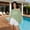 Light green, variant on Women's Lightweight Mesh Poncho Summer Pullover Sweater Breathable Loose Casual Shawl Wrap Sun Shade Cape for Daily Beach Travel Outings by Gbobgt Beige One Size