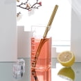 thumbnail image 3 of SPRING PARK 2 in 1 Reusable Stainless Steel Metal Straws Drinking Washable Straw, 3 of 7