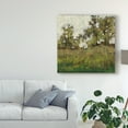 thumbnail image 3 of Trademark Fine Art 'Meadow Lands I' Canvas Art by Jennifer Goldberger, 3 of 4