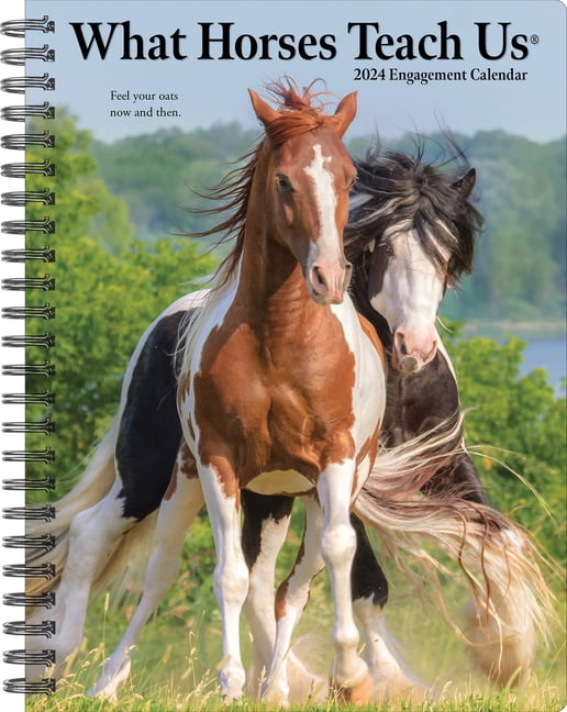 What Horses Teach Us 2024 6.5 X 8.5 Engagement Calendar (Calendar