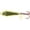 Gold Shiner, variant on Northland Tackle Buck-Shot Coffin Ice Fishing Spoon, Super Glo Redfish, 1/4 Oz, 1/Cd