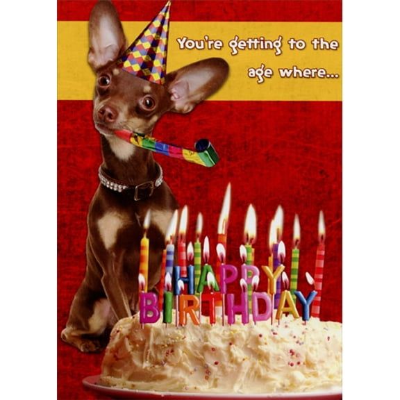 Designer Greetings Getting to the Age : Chihuahua Blowing Party Horn Funny : Humorous Dog Over the Hill Insulting Birthday Card for Him : Man : Men