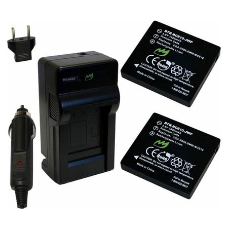 Replacement for Panasonic Lumix DMC-FX500 Battery (2-Pack 1300mAh) and Charger with Car Adapter