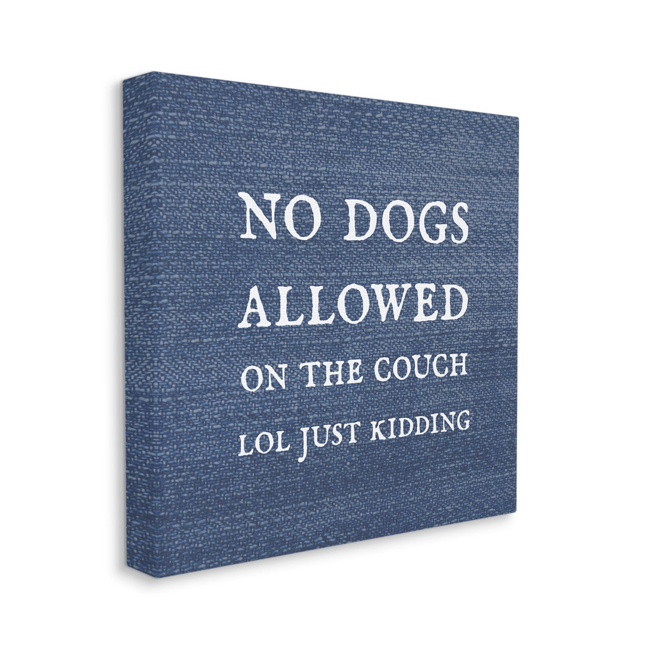 No Dogs Allowed Just Kidding Funny Pet Typography Graphic Art Gallery Wrapped Canvas Print Wall Art