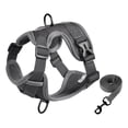 thumbnail image 2 of PayUSD Dog Harness with Leash Cat Harness No Pull Adjustable No Choke Pet Vest for Small Dogs Cats, 2 of 9