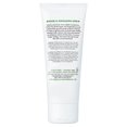 Mario Badescu Botanical Exfoliating Scrub , 3.4 oz Scrub