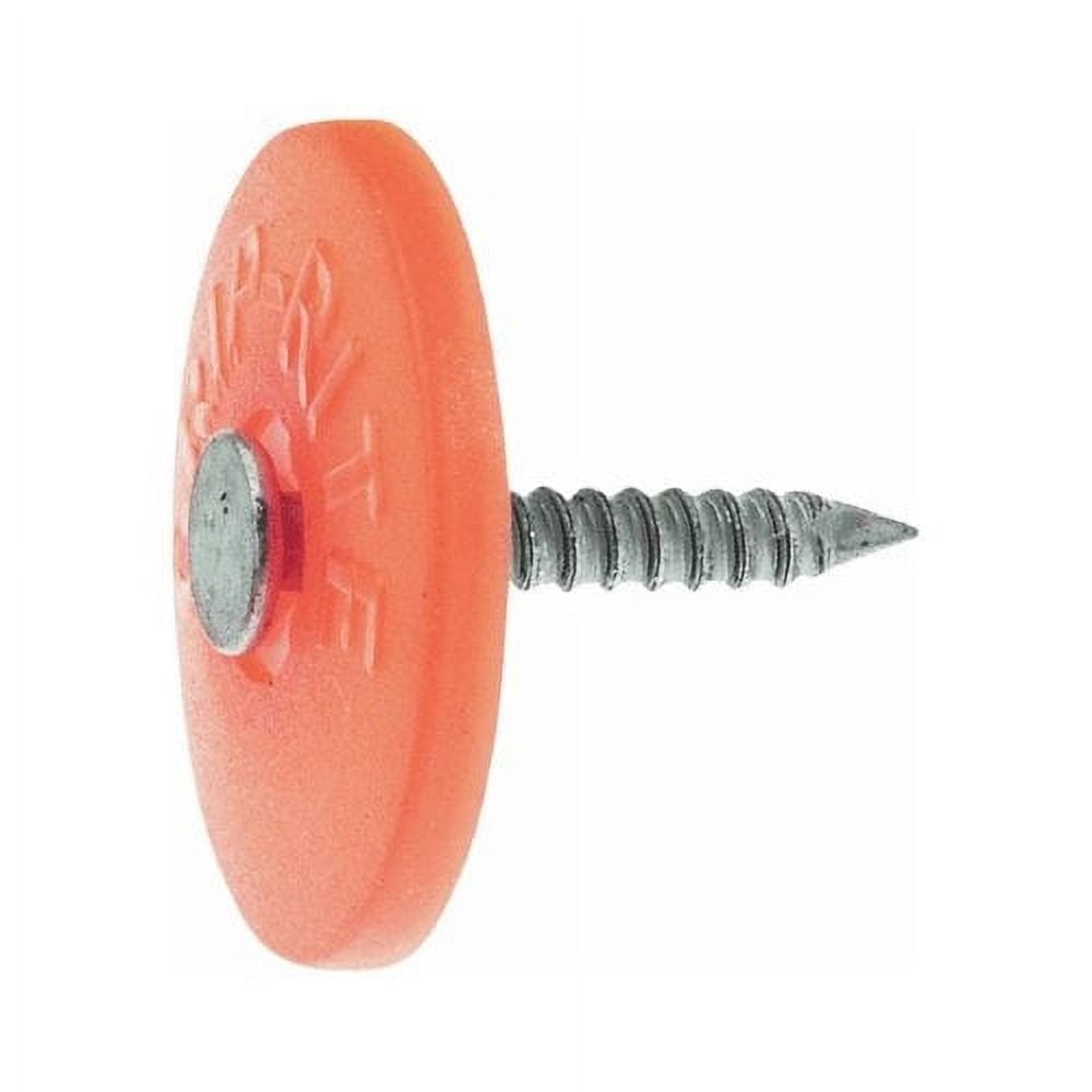 Grip-Rite 5024027 2 in. Cap Electro-Galvanized Plastic & Steel Nail with Full Round Cap