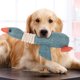 thumbnail image 3 of Juguete para masticar perros juguete para perros salvajes suave para entrenamiento interactivo de mascotas y cachorros de perros ANGGREK Otros, 3 of 8