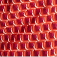 thumbnail image 6 of George Men's and Big Men's Novelty Swim Trunks with UPF 50+, 7" Inseam, Sizes S-3XL, 6 of 6