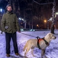 thumbnail image 6 of Teqhome Light Up Dog Harness LED No Pull Dog Harness Rechargeable Lighted Dog Vest Harness for Night Walking Adjustable Glowing Vest for 8.82-16.53lbs Dogs (Red, S), 6 of 12