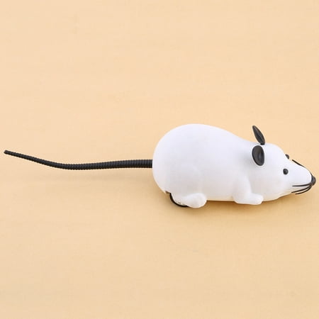 Fdit Telecommande Souris Jouet Telecommande Sans Fil Rc Souris Electronique Rat Souris Jouet Pour Chat Chiot Cadeau Walmart Canada Fdit Telecommande Souris Jouet Telecommande Sans Fil Rc Souris Electronique Rat Souris Jouet Pour Chat Chiot Cadeau Walmart Canada